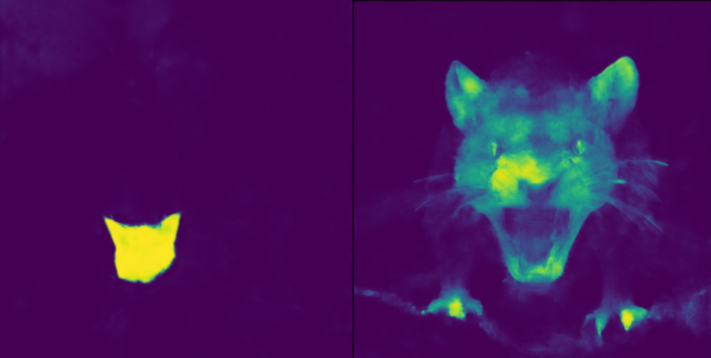 Left - Little reaction except on the cat's head, proving a modification - Right, a fairly global reaction proving that the image was generated by AI